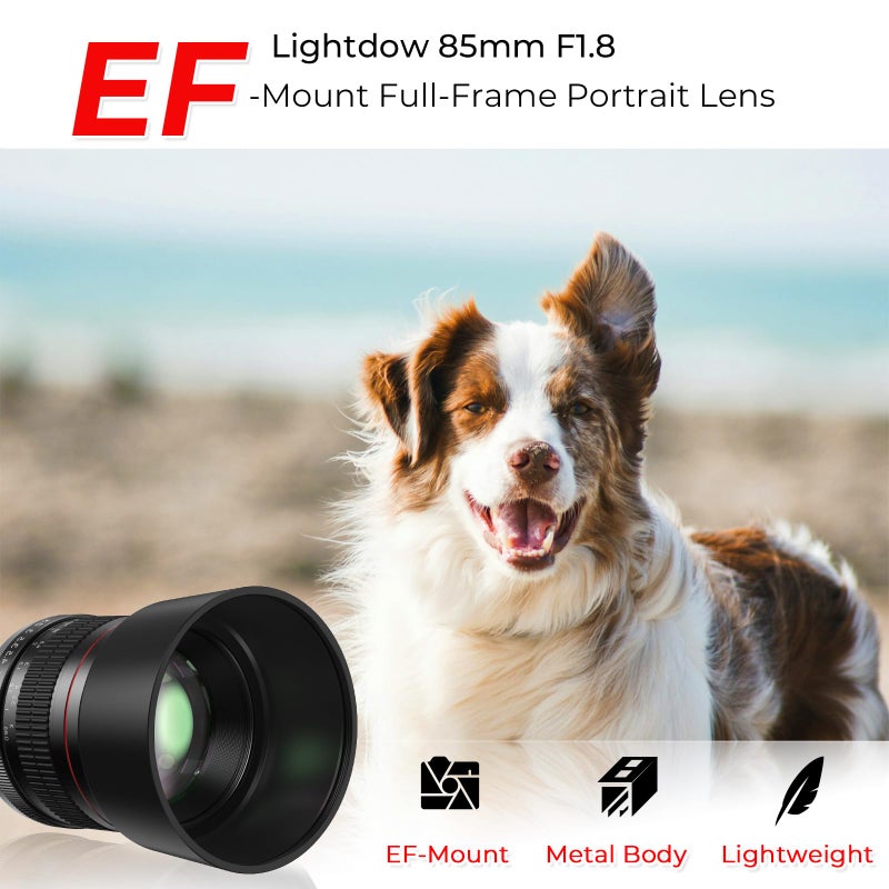 Lightdow EF 85mm f1.8 Portrait Lens - MF for Canon EOS Rebel T8i/T7i/T7/T6i/T5/T3i/T3/T2i/XSi/XS/SL3/SL2/T100/90D/80D/70D/50D/5D Mark IV/6D II/7D II/1D X III II-Manual Focus DSLR Cameras Lenses(EF/EF-S Mount) - Image 2